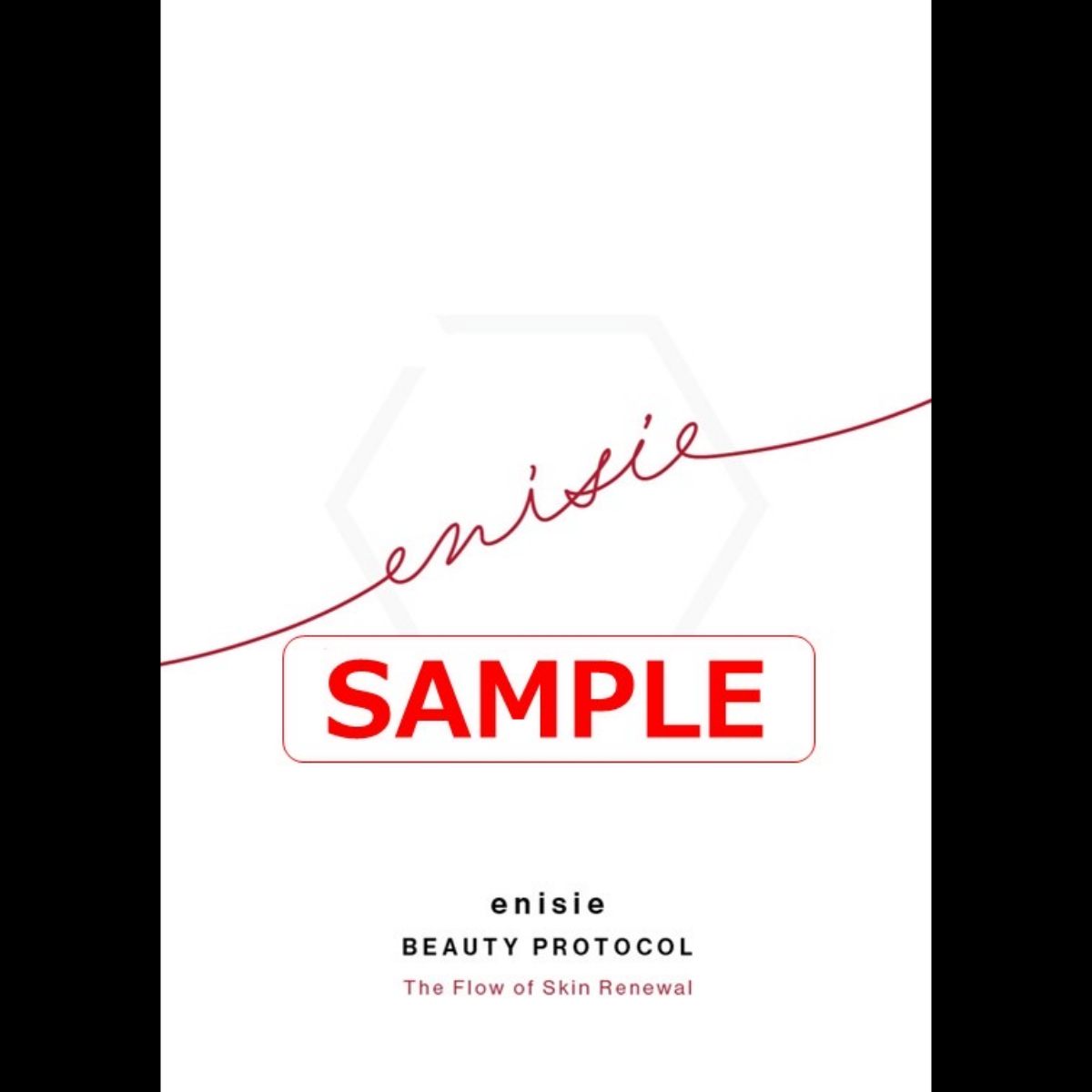 【取寄せ】RHYTHM enisie エニシーシリーズ 公式総合パンフレット(A5冊子)×100冊