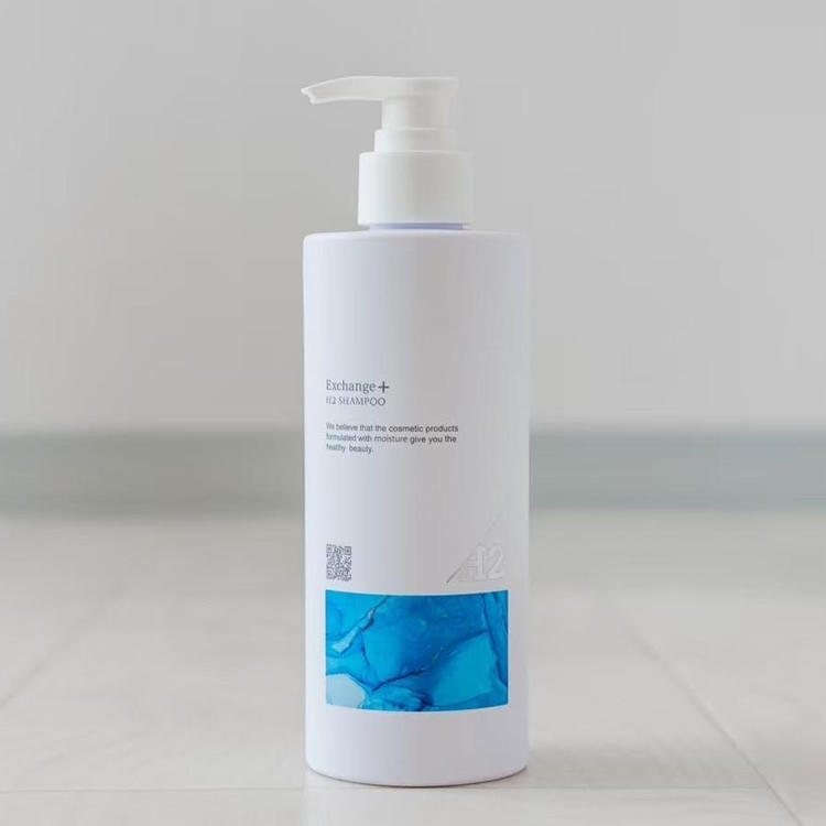 STRI ストリ Exchange+ H2シャンプー 300ml / サロン専売品の卸
