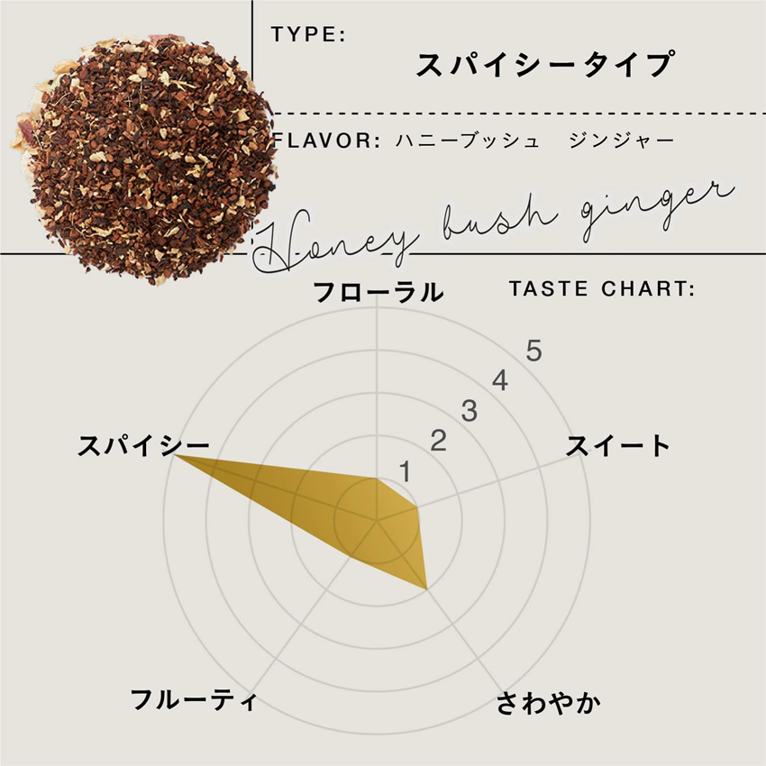 TEAtriCO 業務用Wellness tea ハニーブッシュジンジャー 2.5gTB×50個入