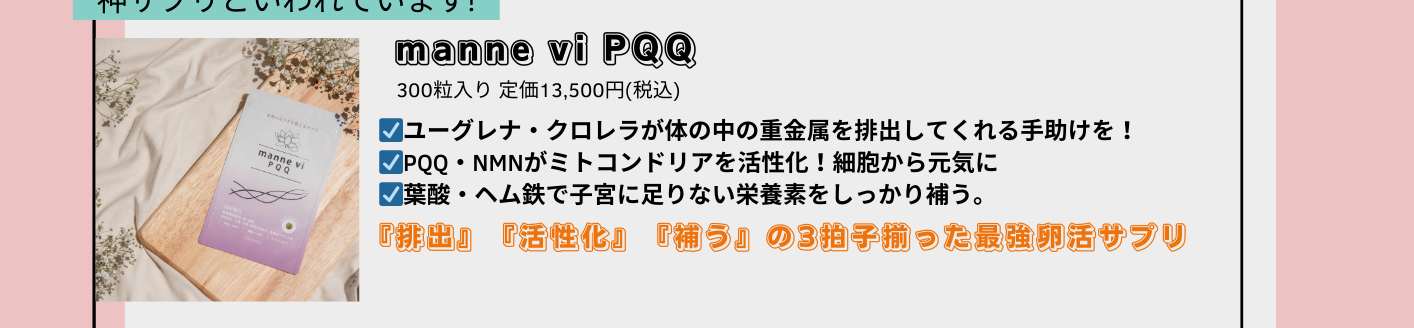 女子チーム(飯盛・郭・馬場・小田)のおすすめマナヴィPQQ