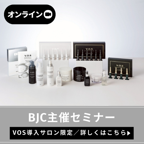 V.O.Sオンライン